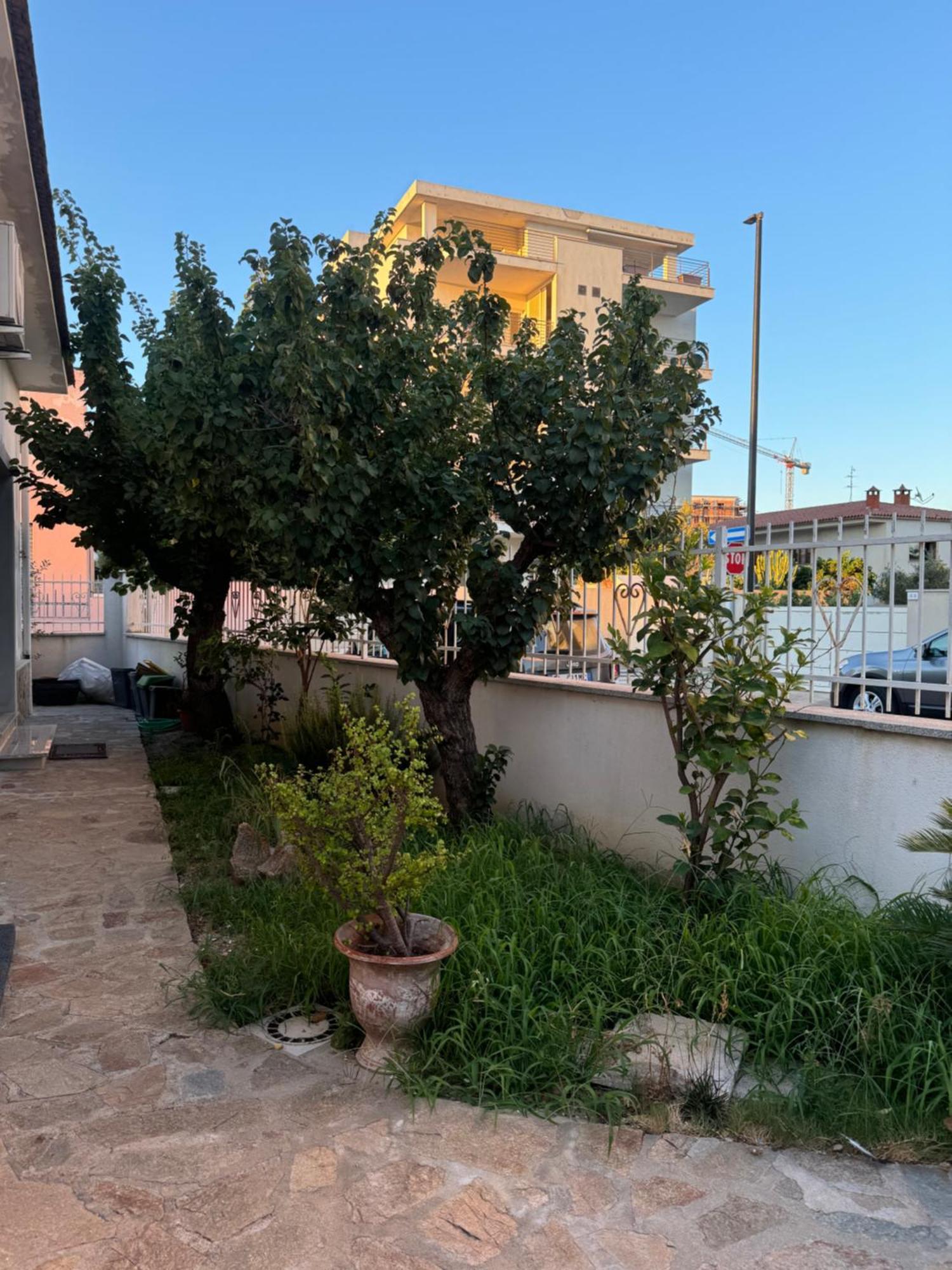 Da Gio Apartment Olbia Bagian luar foto